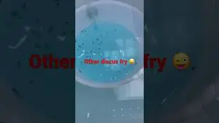 Other discus fry coming soon at tank 😀