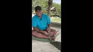 How To Weave A Coconut Palm Leaf Basket