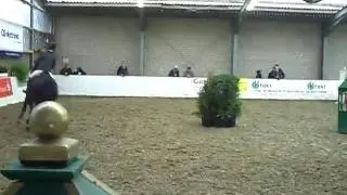 Ernetta