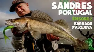 ON PÊCHE LES GROS SANDRES D'ALQUEVA  🇵🇹  PORTUGAL  🎣 Avec Alain Delalande - ÉPISODE 2.
