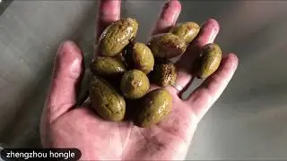 Olive Seed Remove Machine