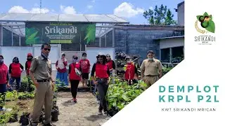DEMPLOT KRPL P2L KWT SRIKANDI MRICAN