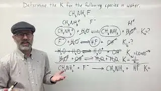 Determine the K for the Following Species in Water:  CH3NH3F (methylammonium Fluoride)