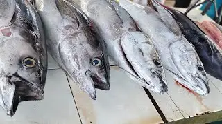 Yellowfin Tuna: Quick and Easy Cutting for Everyday Meals #fish #food #cuttingskills