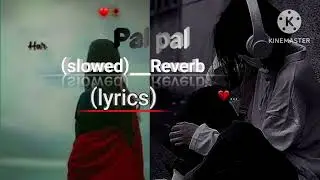 Pal pal jina mufa teri yado ka bina#voiceeffects #music #music 