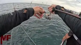 Mancing di atas 'KATAMARAN' #v8 #fishing #fishingvideo #mancing  #jigging #fish #apolo