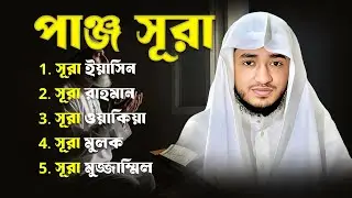 পাঁচটি সূরা | বরকত ও প্রশান্তির তিলাওয়াত | ক্বারী আবু রায়হান