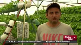 Мехико: городское фермерство развивается, несмотря на загрязнение