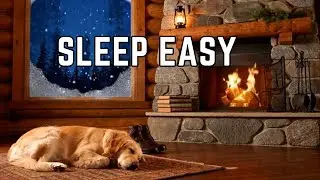 Sleeping Dog by the Fireplace 🐾 Cozy Winter Night Ambience for Anxiety & Insomnia #asmr