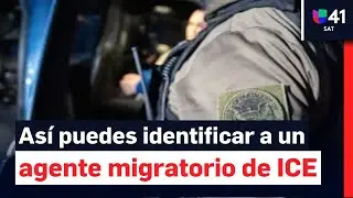 ¿Quién es un agente de ICE? Te explicamos cómo puedes saberlo