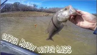 MY FAVORITE BAIT TO CATCH MUDDY WATER BASS!