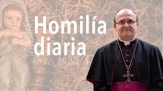 Homilía 27.12.2025 / San Juan apóstol y evangelista