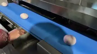 Moon Cake Making Machine