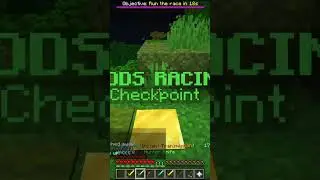 Fastest woods race #minecraft #hypixelskyblock