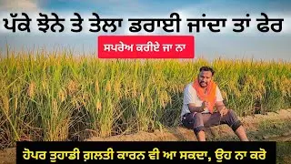 ਹੁਣ ਤੇਲਾ ਕੀ ਨੁਕਸਾਨ ਕਰੂ? Paddy BPH and wbph control