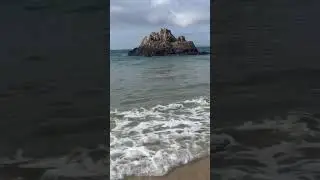 Keurboom