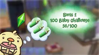 The Sims 2 100 Baby Challenge (36/100)|Early Morning Grocery Store Game