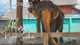 Plaża Khlong Prao, słonie i włóczęga po Koh Chang, Tajlandia.