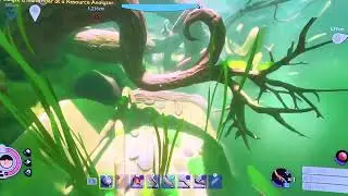Grounded | Left Elf Charm Trinket | Tree stump lab