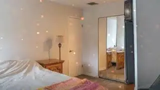 Novi Michigan Real Estate Agent: