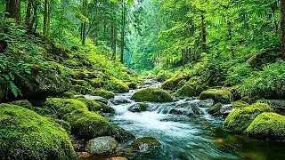 Healing Sound Nature 🌱 Soothing Music Reset Your Nervous System & Relieve Stress