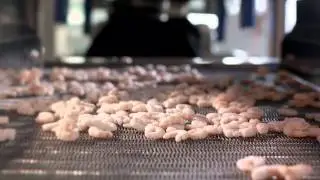 Linde at Anuga FoodTec 2015