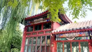 Autumn in Ritan park | Beijing
