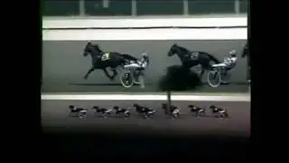 2000 Woodbine PRO BONO BEST Metro Pace Stakes John Campbell Track Record