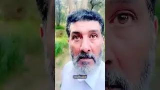 الباحة🌱