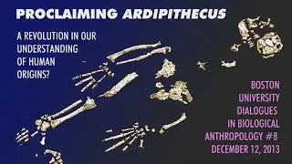 Boston University Dialogues in Biological Anthropology: Proclaiming Ardipithecus— Part 1
