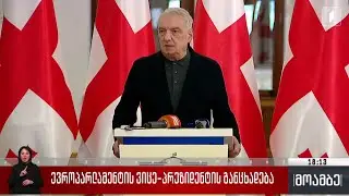 ევროპარლამენტის ვიცე-პრეზიდენტის განცხადება