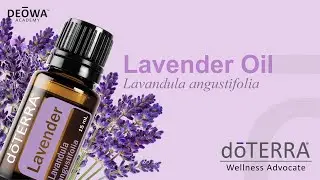 doTERRA Lavender Essential Oil-DEOWA Academy