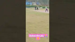 live cricket in Noida #viral #shortvideo #youtubeshorts #trendingshorts #cricketshorts #match