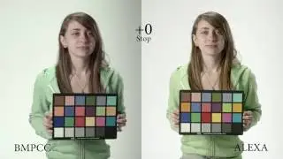 BlackMagic Pocket Camera VS Arri Alexa
