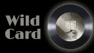 Wild Card. PUBG Music