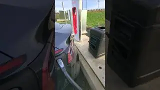 Теславоды поймут (Омывайка 🔥)