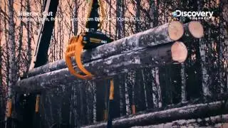 What Do You Mean? | Siberian Cut