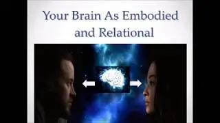 Neuroplasticity to Grow Your Intelligence Interpersonal Neurobiology Basics from a Therapist