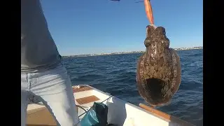 Pescando CHOCOS y CALAMARES en HUELVA - Perdemos un CHOCO MUTANTE y nos SALPICAN en la CARA