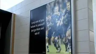 Mikel Arteta On Tim Cahill's Unseen Journey