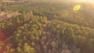 $34,950 - 5 Acres for Sale in King William, Virginia | FreedomHill Properties