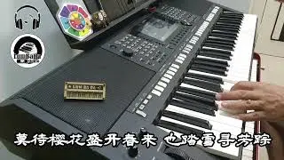 秋诗篇篇～ 电子琴经典老歌演奏 YAMAHA PSRS 775 Cover By  LumBaBa