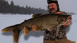 The Hunt for GIANT Idaho Lake Trout