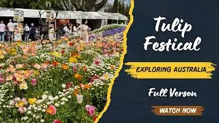 Captivated By The Beauty | Bowral Tulip Festival in Australia 