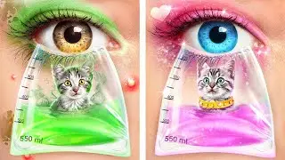 ちっちゃなねこちゃんを助けた！ペットと仲良くなるためのひみつワザ！