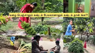 Simple routine in farm 😍 Malai penju valai elam sanjuduchu 😔