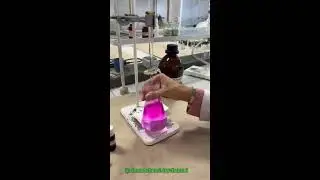 Steam distillation apparatus ⚗️🌡️💦