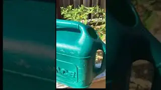 How to grow healthy and strong tomato plants with Aspirin #gardening tips#shorts viral #short video