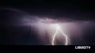 Nelver - Line Movement