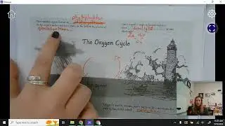 Biogeochemical cycles - Oxygen cycle